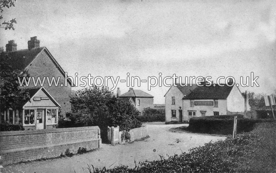 The Village, Ramsden, Essex. c.1913